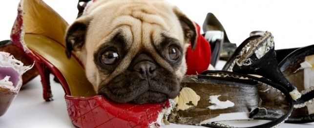 IT-Disaster-Recovery-Planning-Expect-the-best-but-prepare-for-the-worst