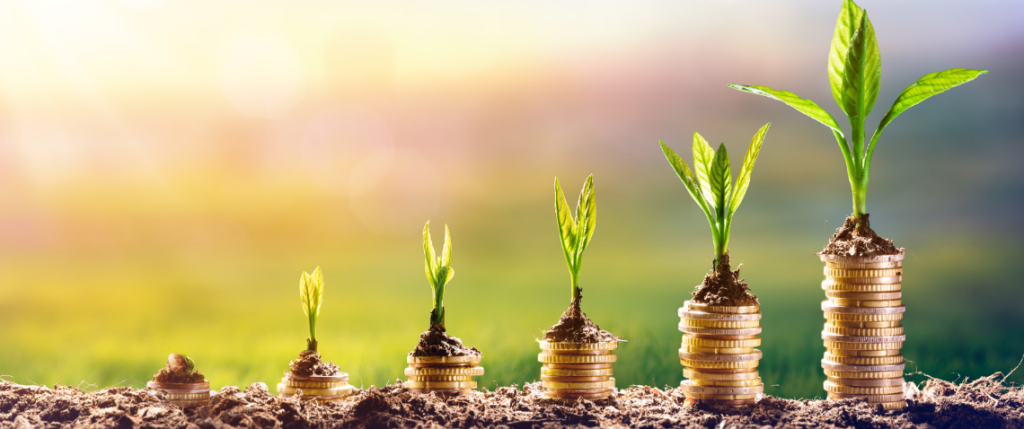 How-Digital-Marketing-Services-Can-Grow-Your-Business